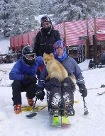 Wiley with People, Acting Dog, in Los Angeles, CA